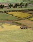 Scale model of an Acadian farm, Grand-Pré National Historic Site of Canada, N.S.