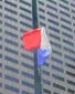 Raising of the Acadian flag, Boston, 2005