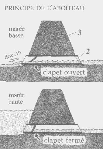 Explication du fonctionnement d'un aboiteau