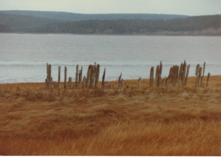 Vestiges d'un ancien brise-lames près de Beaumont, au sud-est du Nouveau-Brunswick