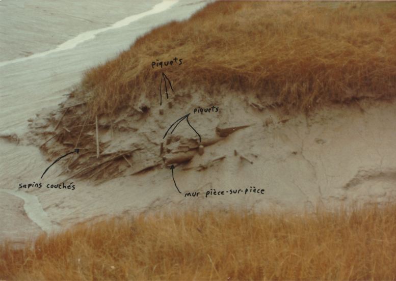 Vestiges d'un ancien aboiteau près de Beaumont, au sud-est du Nouveau-Brunswick