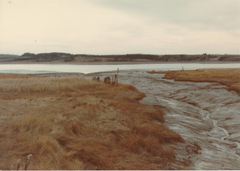 Ancienne levée et vestiges d'un brise-lames à Hillsborough, au Nouveau-Brunswick