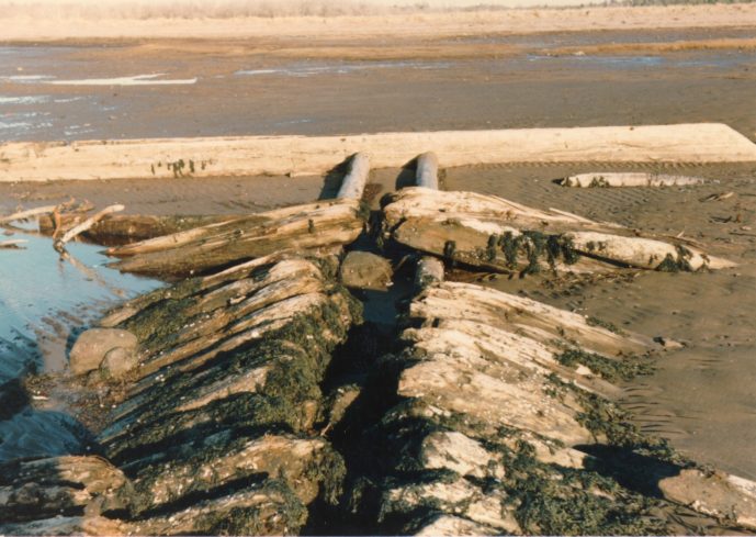 Vue des madriers servant à renforcer la dune et de l'aboiteau de mer en arrière-plan, au Barachois-de-l'est, au sud-est du Nouveau-Brunswick