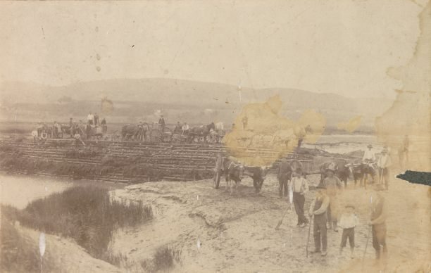 Construction d'aboiteau dans la région de Riverside-Albert (Chipoudie), dans le sud-est du Nouveau-Brunswick, circa 1900
